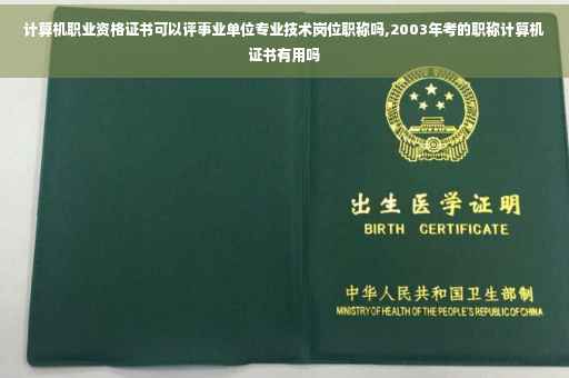 计算机职业资格证书可以评事业单位专业技术岗位职称吗,2003年考的职称计算机证书有用吗