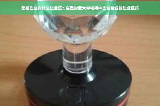 武校毕业有什么毕业证?,在登封武术学校初中毕业给发放毕业证吗
