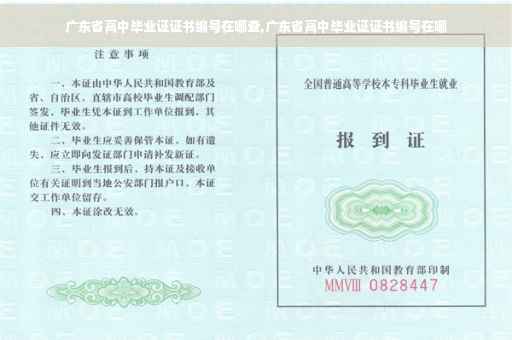 广东省高中毕业证证书编号在哪查,广东省高中毕业证证书编号在哪