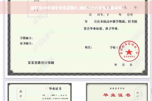 成都市38中高中毕业证图片,成都三十八中是省重点吗