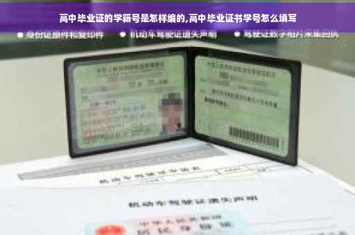 高中毕业证的学籍号是怎样编的,高中毕业证书学号怎么填写