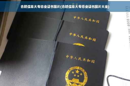 合肥信息大专毕业证书图片(合肥信息大专毕业证书图片大全)