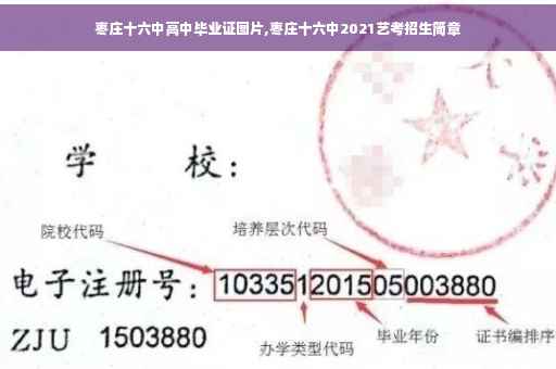 枣庄十六中高中毕业证图片,枣庄十六中2021艺考招生简章