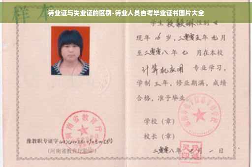待业证与失业证的区别-待业人员自考毕业证书图片大全