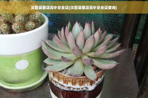 汝阳县蔡店高中毕业证(汝阳县蔡店高中毕业证查询)