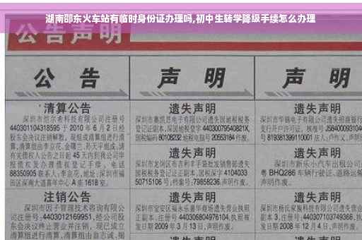 湖南邵东火车站有临时身份证办理吗,初中生转学降级手续怎么办理