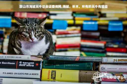 鞍山市海城高中毕业证查询网,海城，析木，所有的高中有哪些