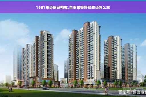 1951年身份证格式,自贡车管所驾驶证怎么拿