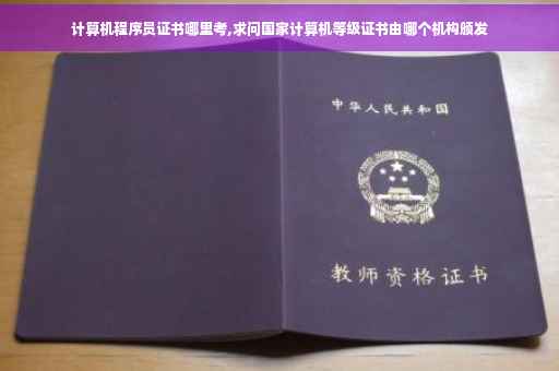 计算机程序员证书哪里考,求问国家计算机等级证书由哪个机构颁发