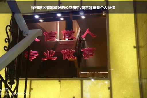徐州市区有哪些好的公立初中,南京哪里查个人征信