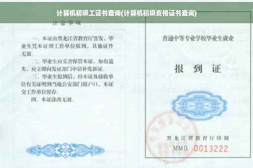 计算机初级工证书查询(计算机初级资格证书查询)