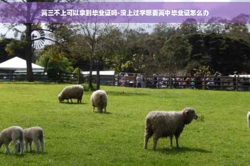 高三不上可以拿到毕业证吗-没上过学想要高中毕业证怎么办