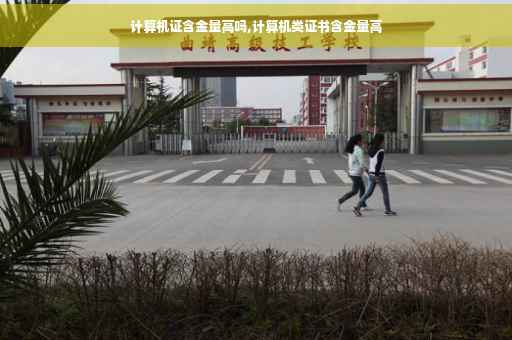 计算机证含金量高吗,计算机类证书含金量高