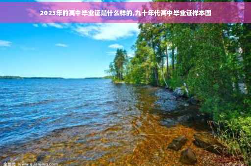 2023年的高中毕业证是什么样的,九十年代高中毕业证样本图
