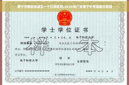 普宁市梅林会成立一个行政区吗,2020年广东普宁中考录取分数线