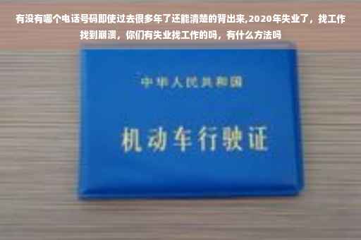有没有哪个电话号码即使过去很多年了还能清楚的背出来,2020年失业了，找工作找到崩溃，你们有失业找工作的吗，有什么方法吗