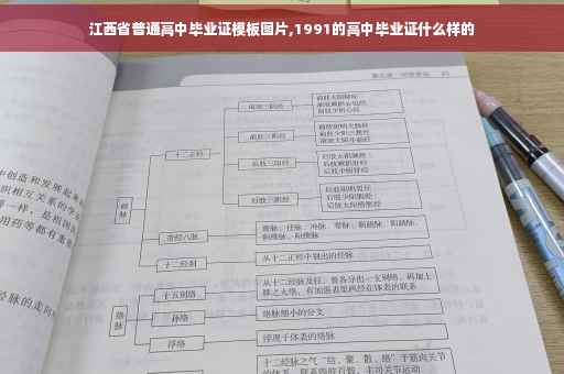 江西省普通高中毕业证模板图片,1991的高中毕业证什么样的