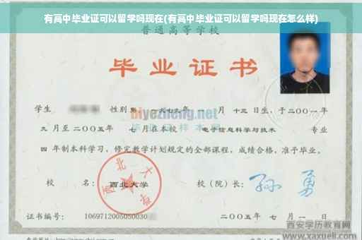有高中毕业证可以留学吗现在(有高中毕业证可以留学吗现在怎么样)