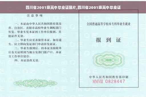 四川省2001级高中毕业证图片,四川省2001级高中毕业证