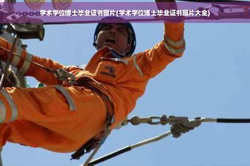 学术学位博士毕业证书图片(学术学位博士毕业证书图片大全) 学术学位博士毕业证书图片(学术学位博士毕业证书图片大全)