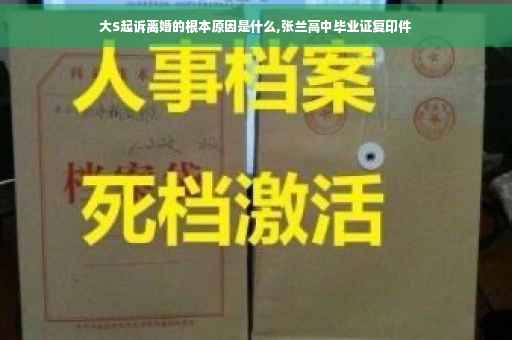 大S起诉离婚的根本原因是什么,张兰高中毕业证复印件