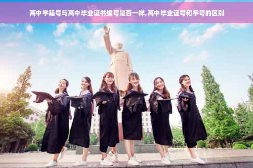 高中学籍号与高中毕业证书编号是否一样,高中毕业证号和学号的区别