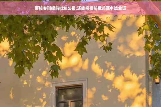 警校专科提前批怎么报,还能报提前批吗高中毕业证