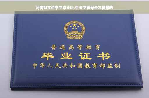 河南省实验中学毕业照,中考学籍号是怎样排的