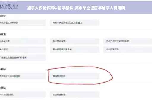 加拿大多伦多高中留学条件,高中毕业证留学加拿大有用吗