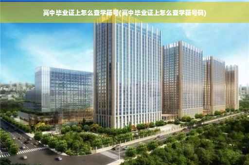 高中毕业证上怎么查学籍号(高中毕业证上怎么查学籍号码)