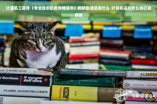 计算机工程师（专业技术职务资格证书）的获取途径是什么-计算机证书怎么自己去拿啊