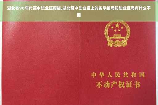 湖北省90年代高中毕业证模板,湖北高中毕业证上的省学编号和毕业证号有什么不同