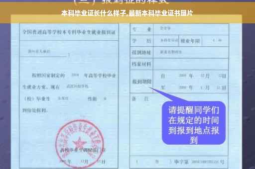 本科毕业证长什么样子,最新本科毕业证书图片