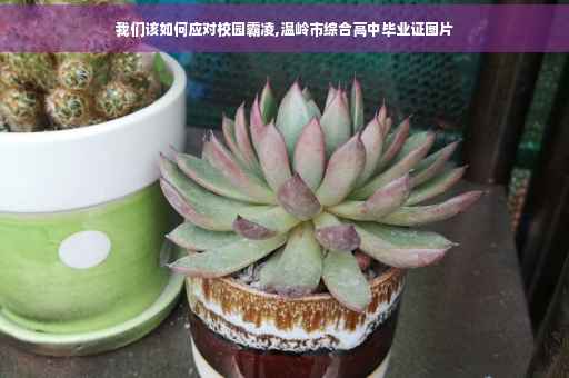 我们该如何应对校园霸凌,温岭市综合高中毕业证图片