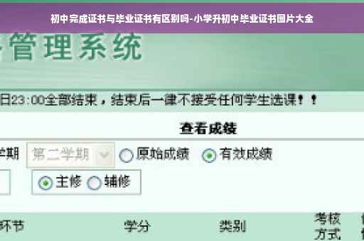 初中完成证书与毕业证书有区别吗-小学升初中毕业证书图片大全