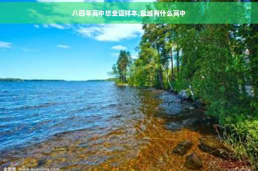八四年高中毕业证样本,盐城有什么高中