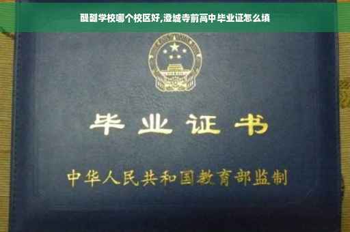 醍醐学校哪个校区好,澄城寺前高中毕业证怎么填