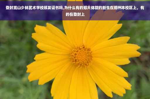 登封嵩山少林武术学校颁发证书吗,为什么有的郑大体院的新生在郑州本校区上，有的在登封上