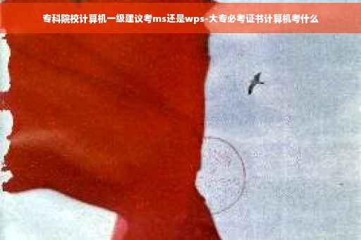 专科院校计算机一级建议考ms还是wps-大专必考证书计算机考什么