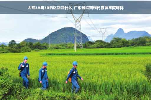 大专3A与3B的区别是什么,广东省岭南现代技师学院咋样