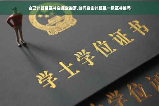 自己计算机证书在哪查询啊,如何查询计算机一级证书编号