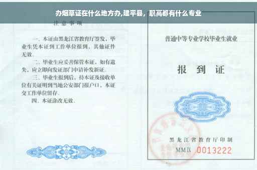 办烟草证在什么地方办,建平县，职高都有什么专业
