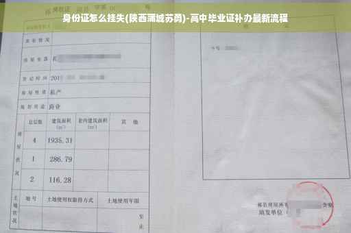 身份证怎么挂失(陕西蒲城苏勇)-高中毕业证补办最新流程