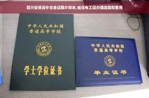 四川安岳高中毕业证图片样本,低压电工证办理流程和费用