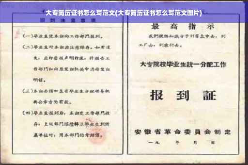 大专简历证书怎么写范文(大专简历证书怎么写范文图片)
