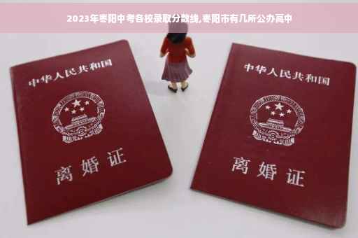 2023年枣阳中考各校录取分数线,枣阳市有几所公办高中 2023年枣阳中考各校录取分数线,枣阳市有几所公办高中