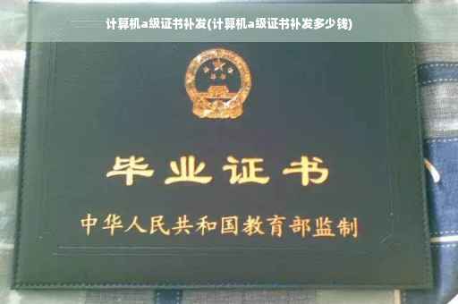 计算机a级证书补发(计算机a级证书补发多少钱)