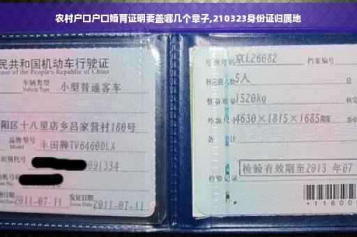 农村户口户口婚育证明要盖哪几个章子,210323身份证归属地