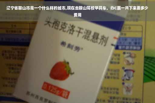 辽宁省鞍山市是一个什么样的城市,现在去鞍山驾校学开车，办C票一共下来要多少费用