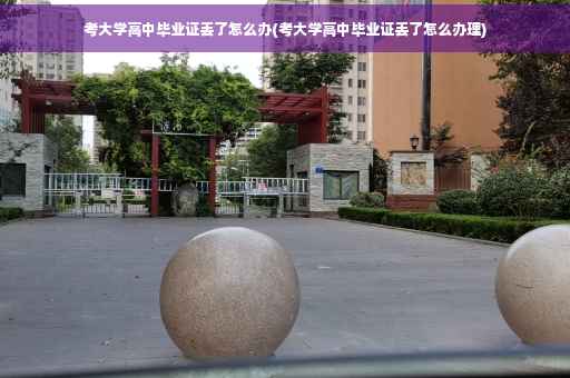考大学高中毕业证丢了怎么办(考大学高中毕业证丢了怎么办理)